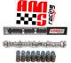 Ams Racing Stage 2 Truck Camshaft & Springs For 2014+ Chevrolet Gen V 5.3l 6.2l