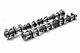 Brian Crower Cams Stage 3 Na For Tc Toyota Corolla 2azfe 2a-zfe 2.4 Camshafts