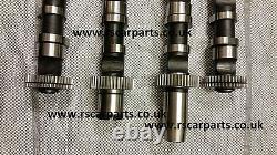 CAMSHAFT KIT AUDI fits for A6 A4 ALLROAD 2.5 TDI V6 BAU BDH BDG BCZ BND