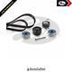 Cam And Injection Pump Timing Belt Kit For Jaguar Xj X350 05-09 2.7 Diesel Ajd
