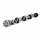 Comp Cams 07-306-8 Xtreme Energy 230/244 Hydraulic Roller Camshaft, For Lt1/lt4
