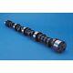 Crane Cams 134691 Camshaft Mechanical Flat Tappet For Big Block Chevy New