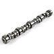 Elgin Camshaft E-1251-p Ls Hot Cam. 523/. 524 Hydraulic Roller For Ls-series