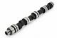 For Ford 1.3 1.4 Cvh Rs Turbo Xr3i Xr2 Fast Road Piper Cams Camshaft