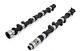 For Ford 1.7 Puma 16v Rally Piper Cams Camshafts Pair