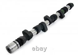 FOR PEUGEOT 205 / 309 GTI 1.6 / 1.9 8v Group A Rally Piper Cams Camshaft