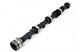 For Triumph 2.0 / 2.5 6 Cylinder Fast Road Piper Cams Camshaft