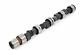For Vauxhall Cavalier Sri 130 1.6 1.8 2.0 J Series Fast Road Piper Cams Camshaft