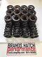 Newman Cams For Ford Escort Sierra Rs Cosworth Yb Double Valve Springs