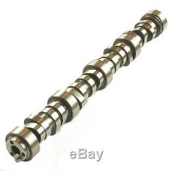PERFORMANCE Hydraulic Roller Camshaft for Chevy GM LS1 LS2 LS Hot Cam 88958753