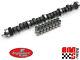 Stage 1 Hp Camshaft & Lifters For 1963-1976 Ford 360 390 5.9l 6.4l 484/510 Lift