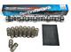 Texas Speed 224r. 600 Camshaft Kit With Beehive Springs For Chevrolet Ls 5.7 6.0